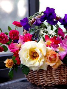 Превью обои розы, садовые, петуния, цветы, корзина, композиция