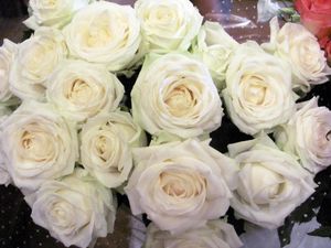 Превью обои розы, цветы, белоснежные, букет, упаковка