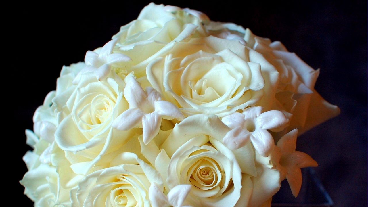 Обои розы, цветы, белоснежные, букет, нежность