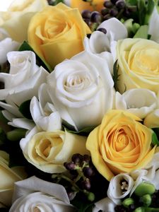 Превью обои розы, цветы, белые, желтые, букет, композиция, красиво