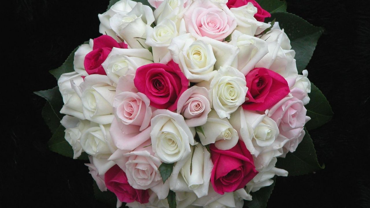 Обои розы, цветы, белые, розовые, букет, листья, оформление, красиво