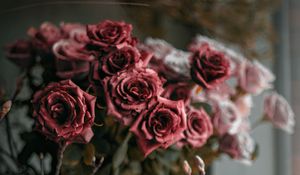 Превью обои розы, цветы, букет, красный, розовый