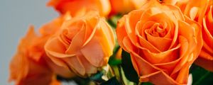 Превью обои розы, цветы, букет, оранжевый