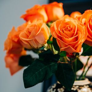 Превью обои розы, цветы, букет, оранжевый