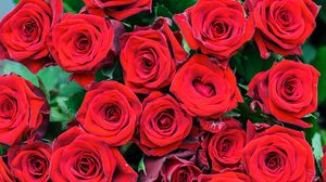Превью обои розы, цветы, букет, красный