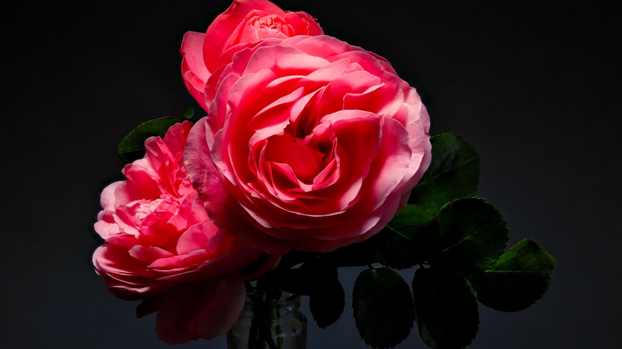 Обои розы, цветы, букет, ваза, розовый