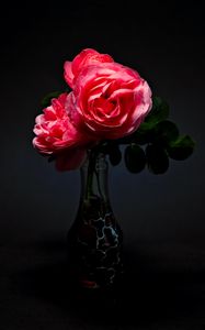 Превью обои розы, цветы, букет, ваза, розовый