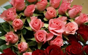 Превью обои розы, цветы, букет, много, разные, капли