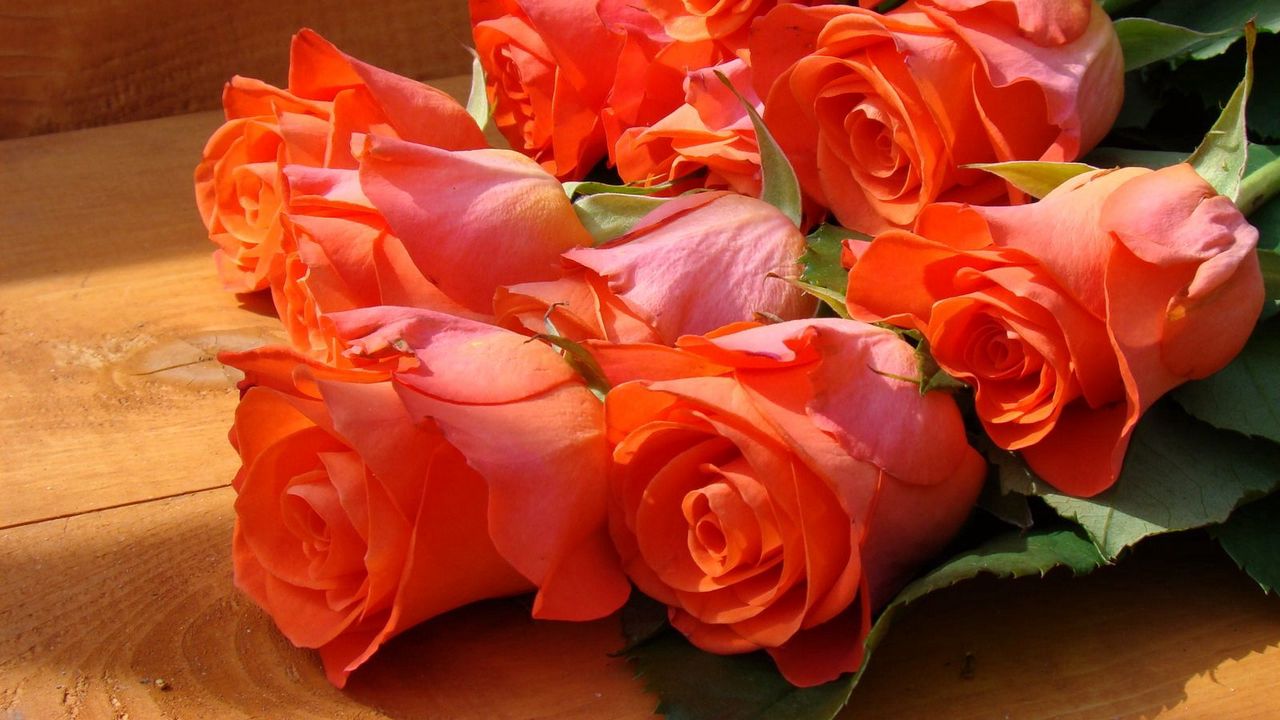 Обои розы, цветы, букет, скамейка, красота