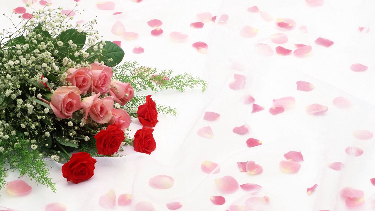 Обои розы, цветы, букет, лепестки, романтика