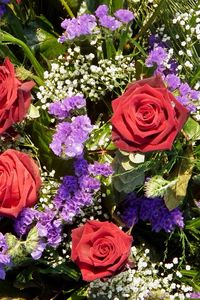 Превью обои розы, цветы, букет, гипсофил, красота
