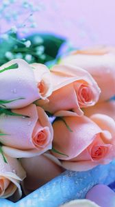 Превью обои розы, цветы, букет, гипсофил, капли, гуси