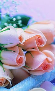 Превью обои розы, цветы, букет, гипсофил, капли, гуси