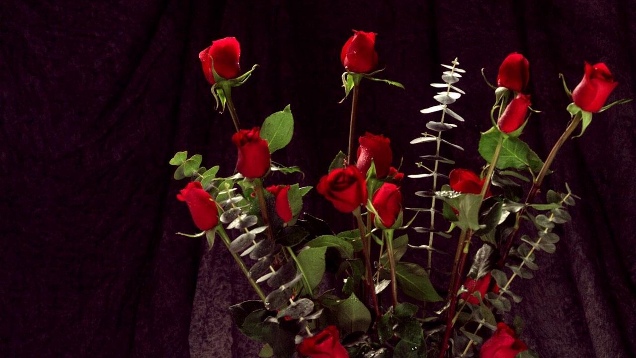 Обои розы, цветы, букет, шикарно, красота