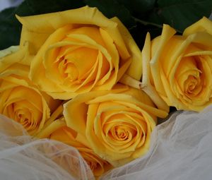 Превью обои розы, цветы, букет, желтые, лежат, сетка