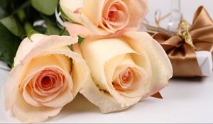 Превью обои розы, цветы, букет, капли, свежесть, подарок, сюрприз