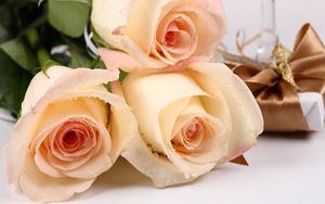 Превью обои розы, цветы, букет, капли, свежесть, подарок, сюрприз