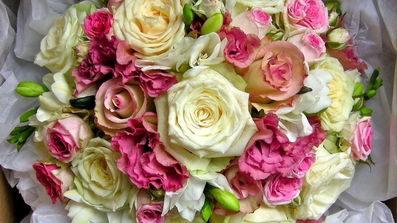 Обои цветы розы - фото онлайн на витамин-п-байкальский.рф