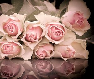 Превью обои розы, цветы, букет, лежат, отражение