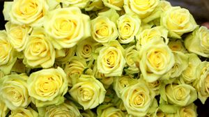 Превью обои розы, цветы, букет, желтые, капли, мокрые