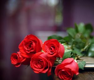 Превью обои розы, цветы, букет, красные, лежат