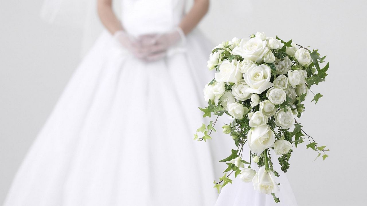 Обои розы, цветы, букет, белоснежный, невеста, свадьба