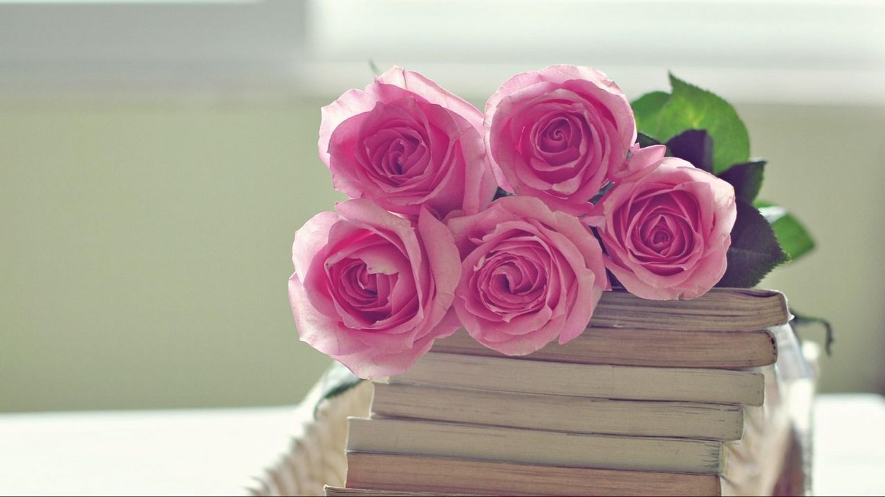 Обои розы, цветы, букет, книги