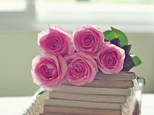 Превью обои розы, цветы, букет, книги