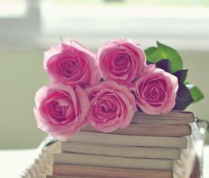 Превью обои розы, цветы, букет, книги