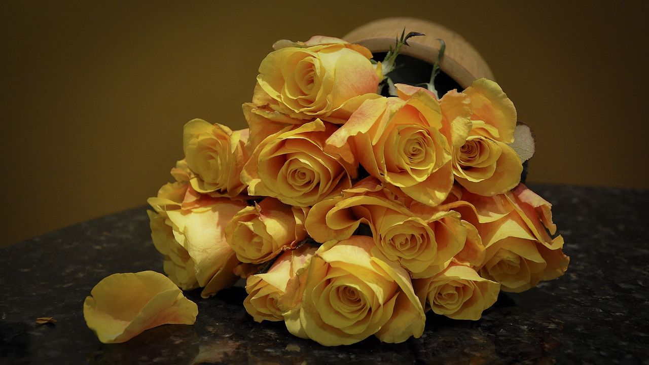 Обои розы, цветы, букет, желтый, пятнистый