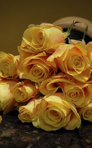 Превью обои розы, цветы, букет, желтый, пятнистый
