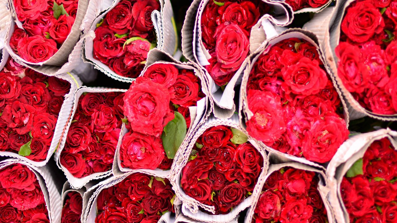 Обои розы, цветы, букеты, красный
