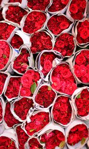 Превью обои розы, цветы, букеты, красный