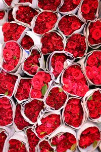 Превью обои розы, цветы, букеты, красный