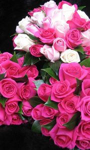 Превью обои розы, цветы, букеты, три, капли, свежесть, оформление, красота