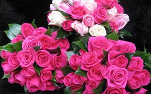 Превью обои розы, цветы, букеты, три, капли, свежесть, оформление, красота