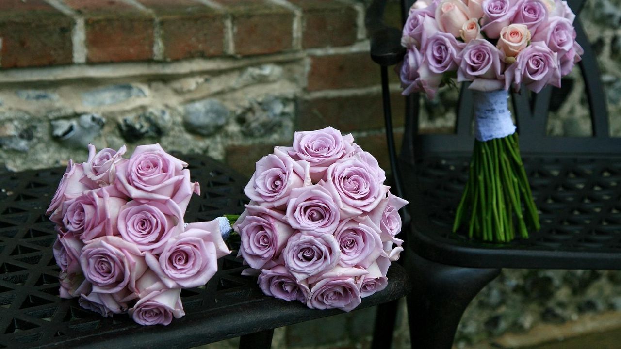 Обои розы, цветы, букеты, три, скамейка, стул