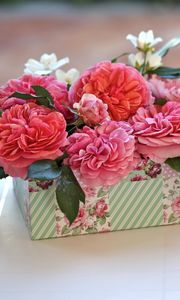 Превью обои розы, цветы, бутоны, коробочка, подарок, сюрприз, чашка