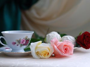 Превью обои розы, цветы, чай, зефир, романтика