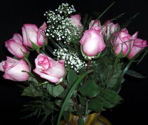 Превью обои розы, цветы, гипсофил, букет, ваза