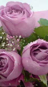 Превью обои розы, цветы, гипсофил, букет, оформление, капли