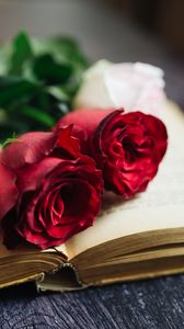 Превью обои розы, цветы, книга, страницы, эстетика
