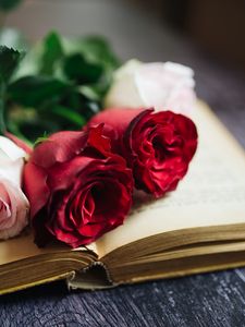 Превью обои розы, цветы, книга, страницы, эстетика