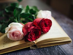 Превью обои розы, цветы, книга, страницы, эстетика