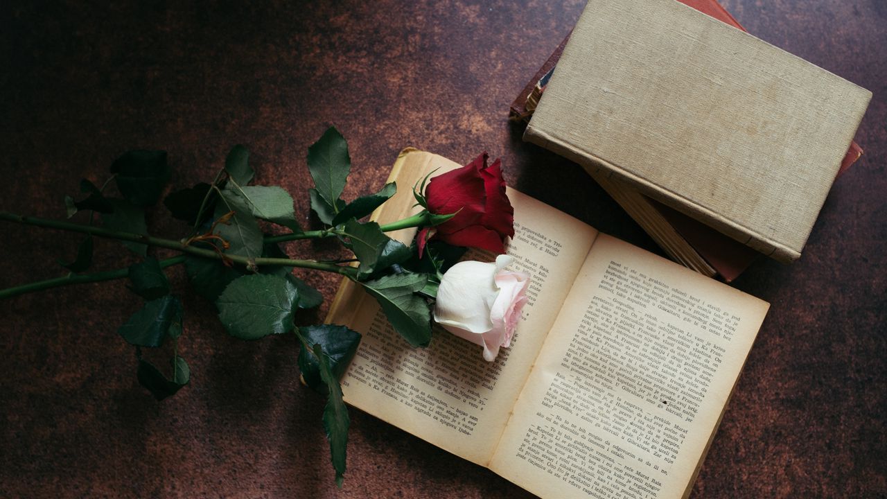 Обои розы, цветы, книга, эстетика