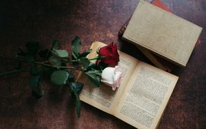 Превью обои розы, цветы, книга, эстетика