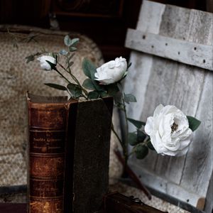 Превью обои розы, цветы, книга, винтаж, эстетика