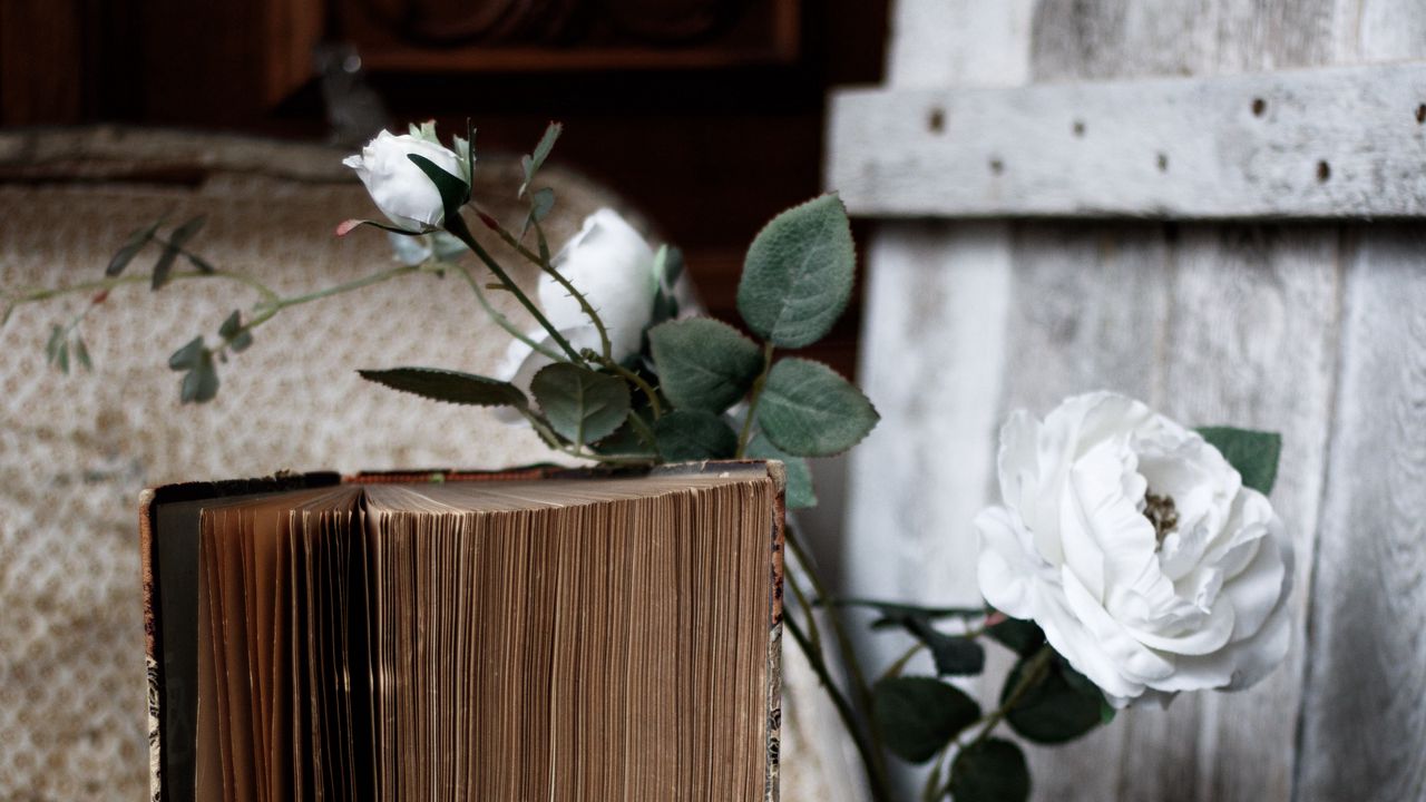 Обои розы, цветы, книга, старый, эстетика