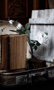 Превью обои розы, цветы, книга, старый, эстетика