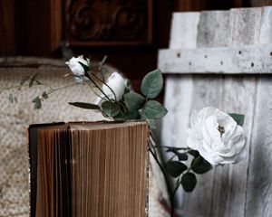 Превью обои розы, цветы, книга, старый, эстетика